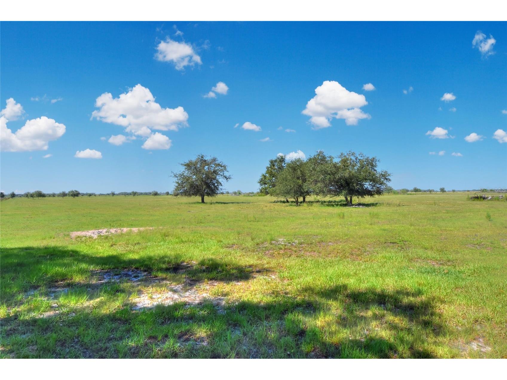 NW Limestone Heights Street Arcadia FL 34266 TB8425393 image35