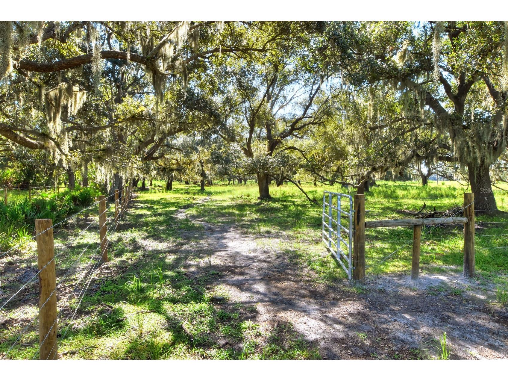 NW Limestone Heights Street Arcadia FL 34266 TB8425393 image37