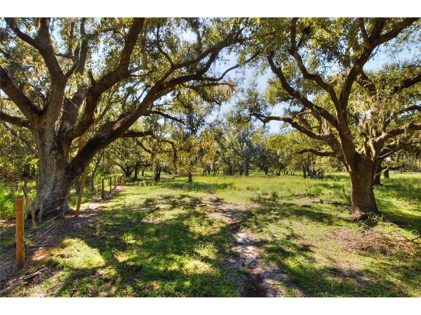 NW Limestone Heights Street Arcadia FL 34266 TB8425393 image39