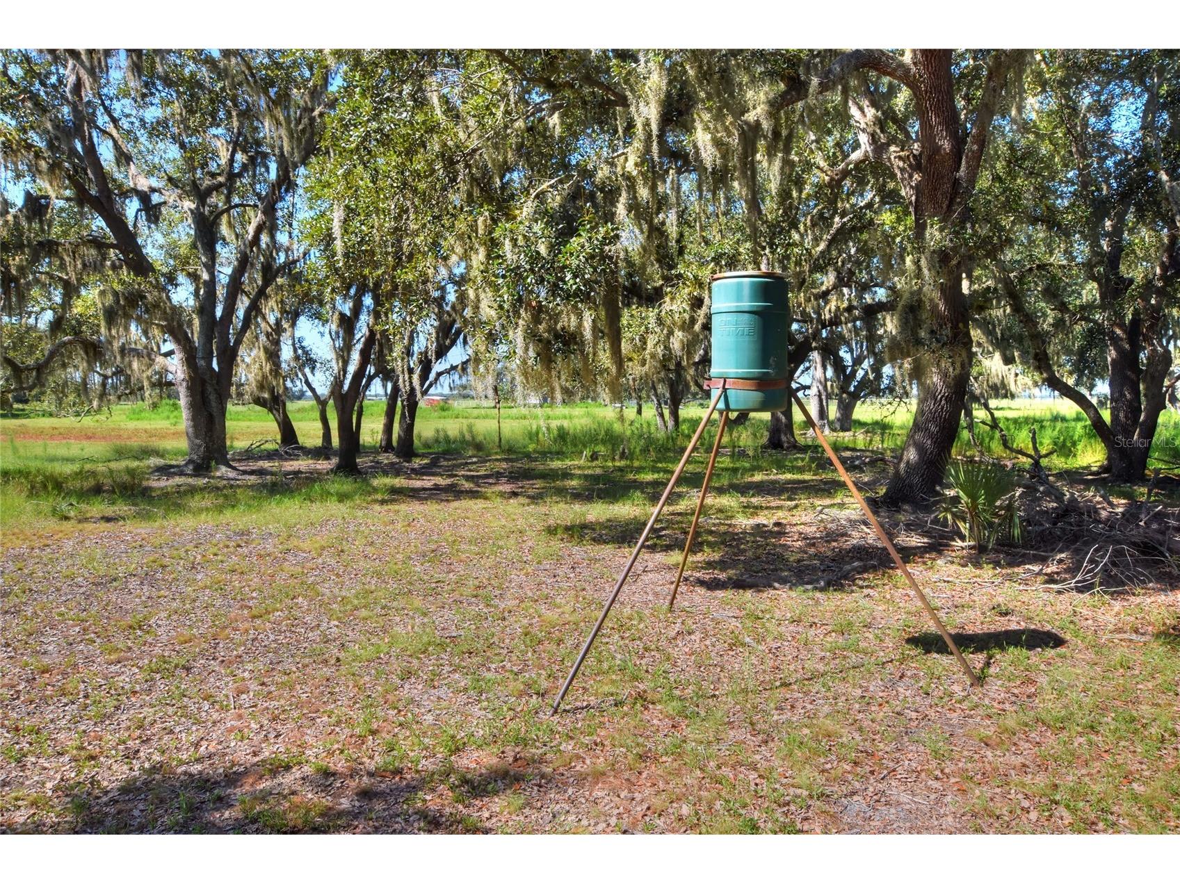 NW Limestone Heights Street Arcadia FL 34266 TB8425393 image40