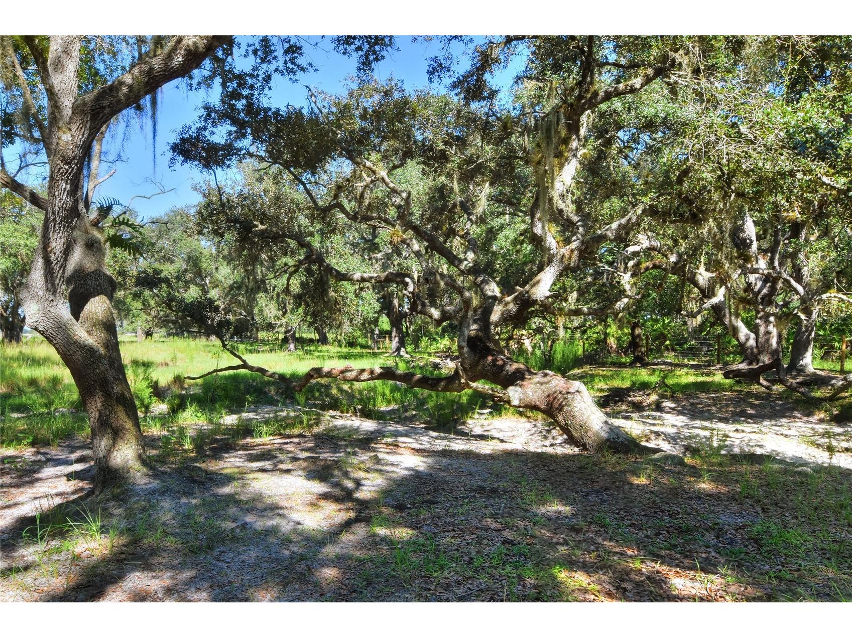 NW Limestone Heights Street Arcadia FL 34266 TB8425393 image42