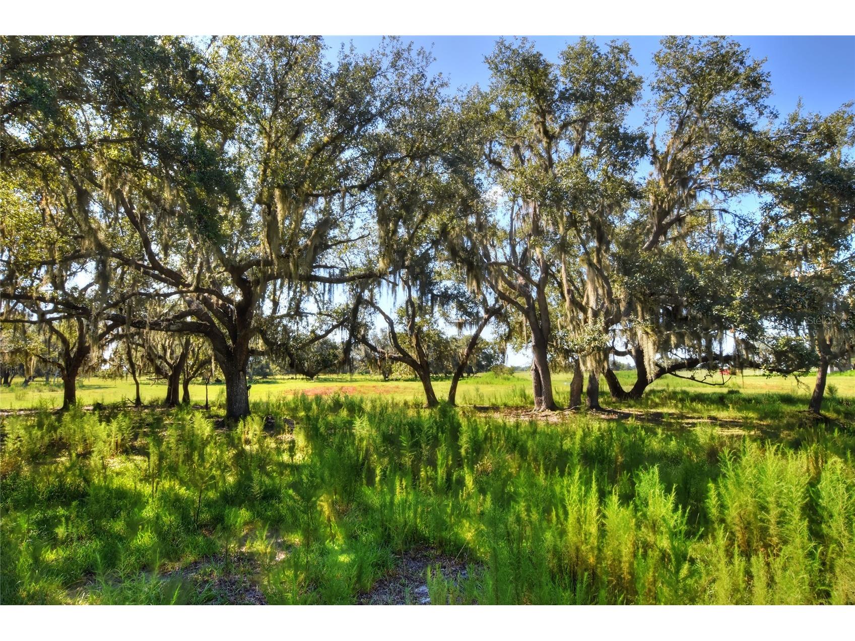 NW Limestone Heights Street Arcadia FL 34266 TB8425393 image43