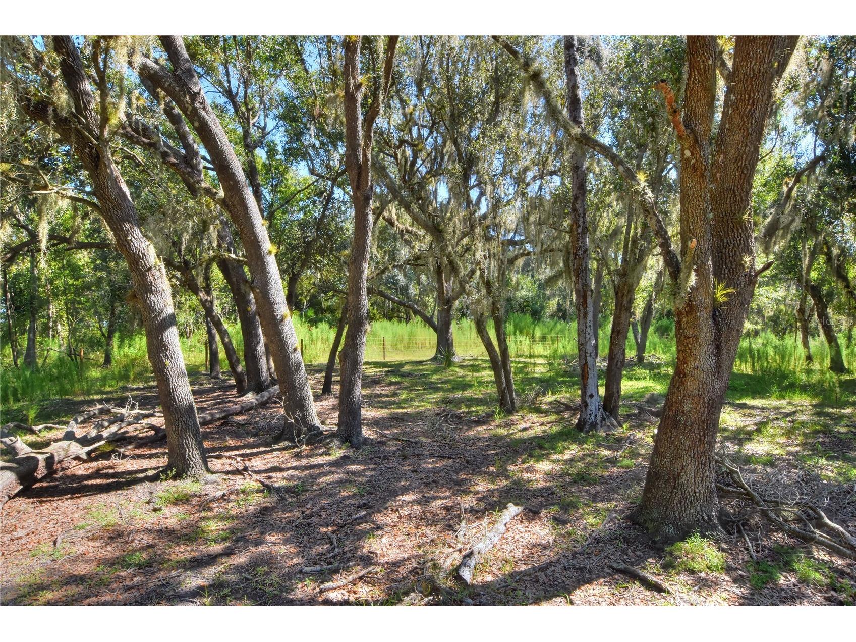 NW Limestone Heights Street Arcadia FL 34266 TB8425393 image44