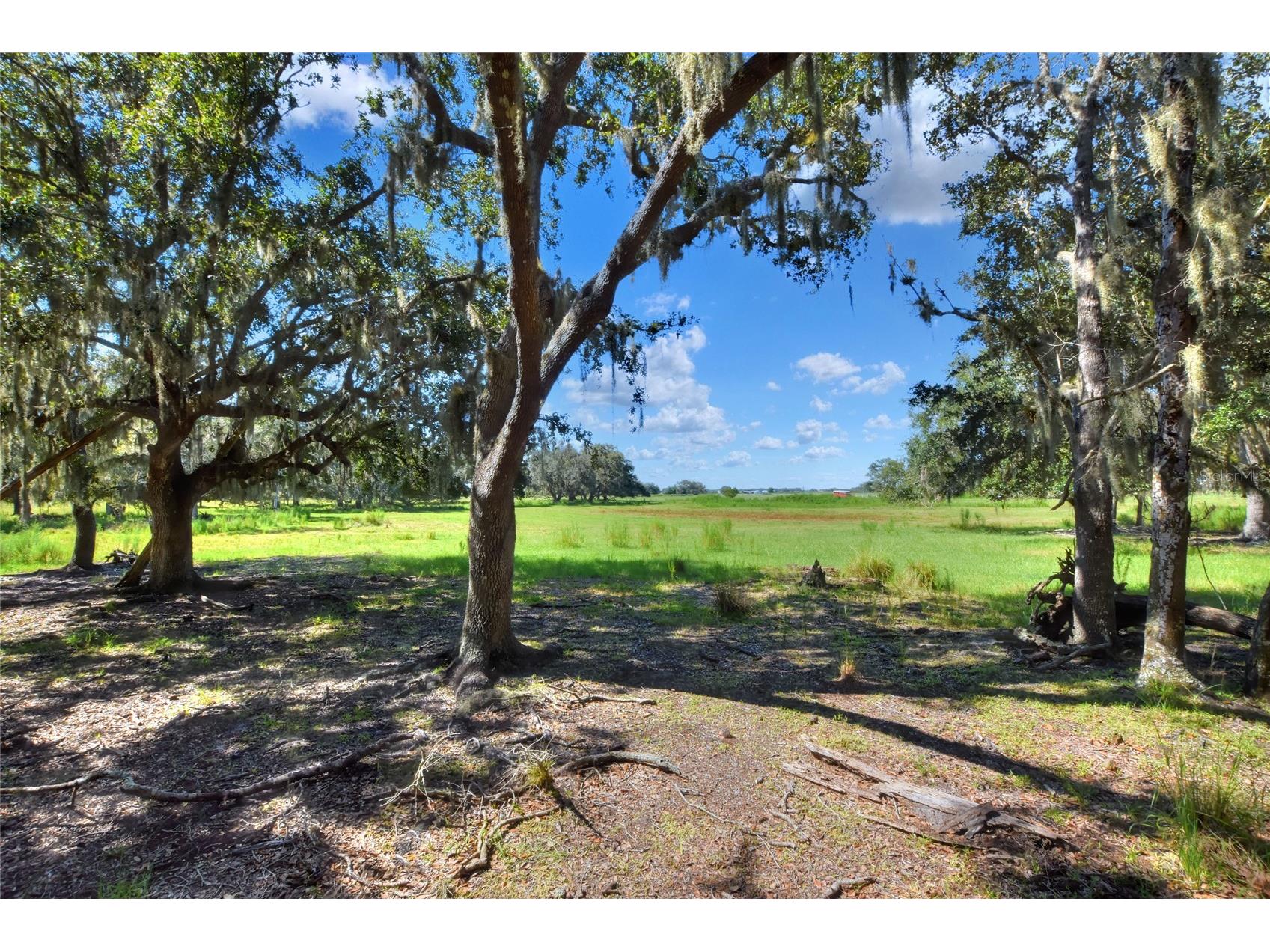 NW Limestone Heights Street Arcadia FL 34266 TB8425393 image45