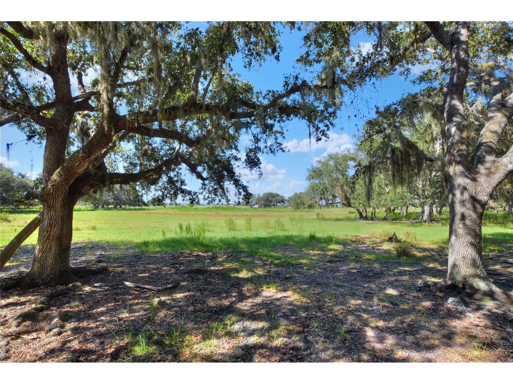 NW Limestone Heights Street Arcadia FL 34266 TB8425393 image46