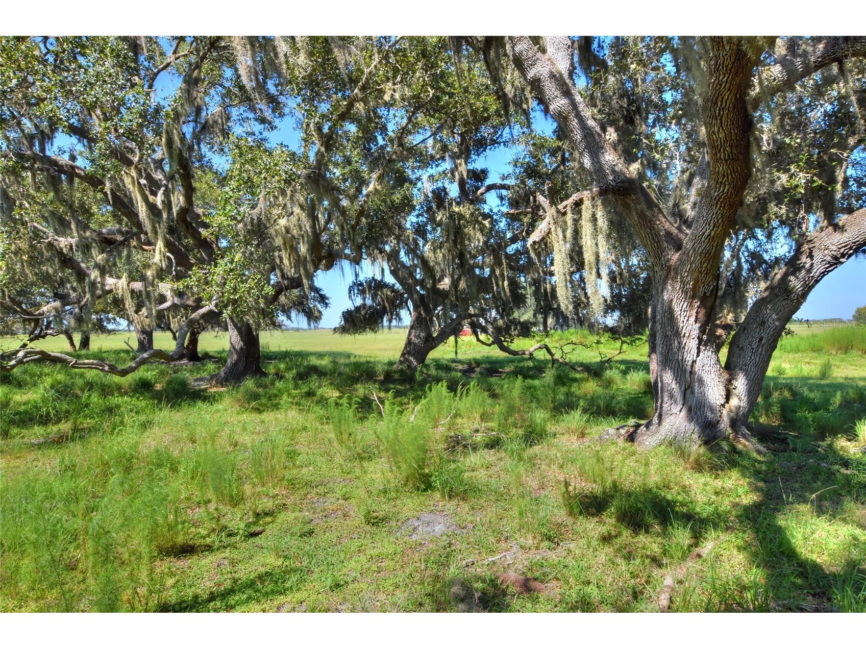 NW Limestone Heights Street Arcadia FL 34266 TB8425393 image47