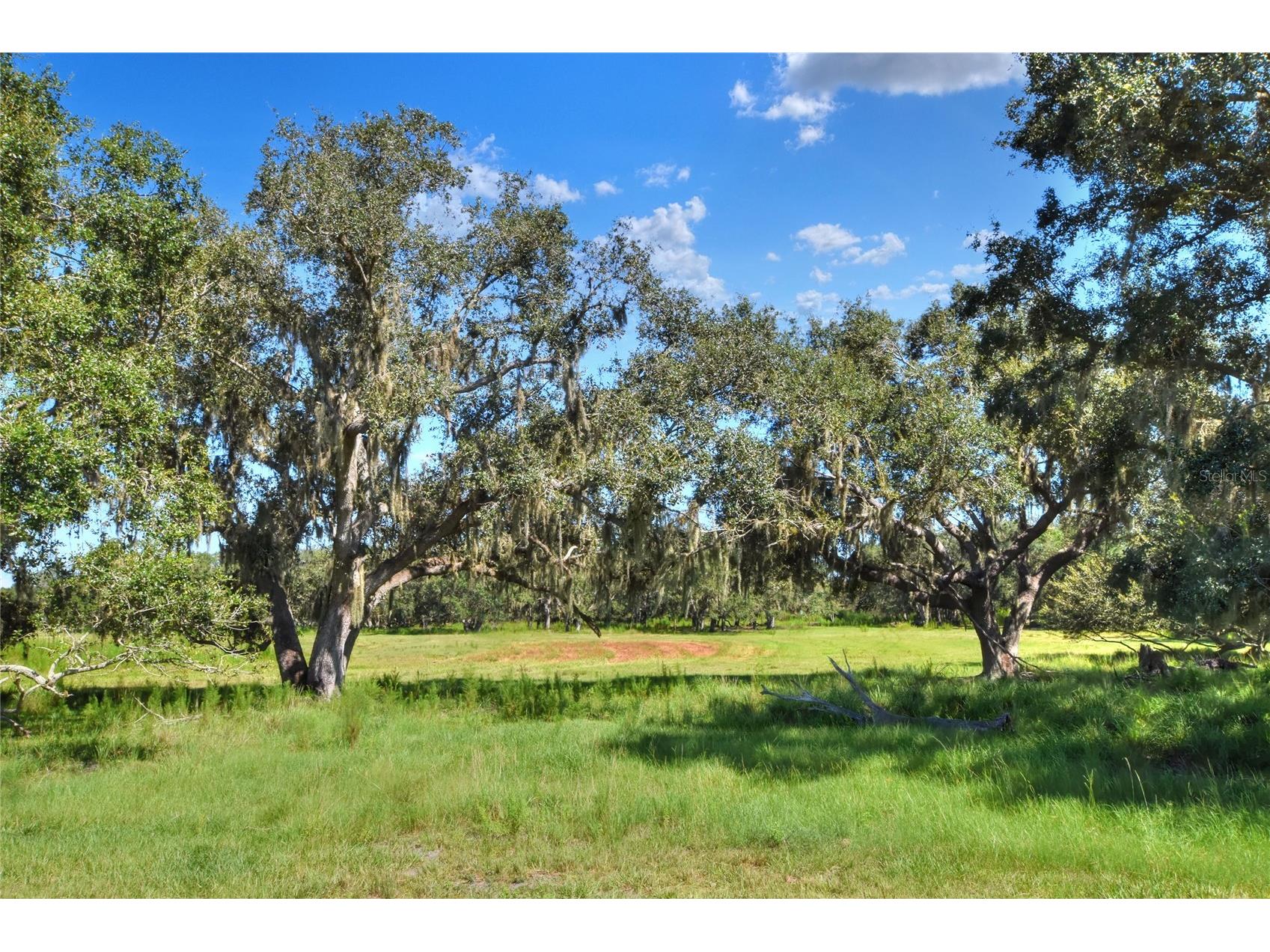 NW Limestone Heights Street Arcadia FL 34266 TB8425393 image48