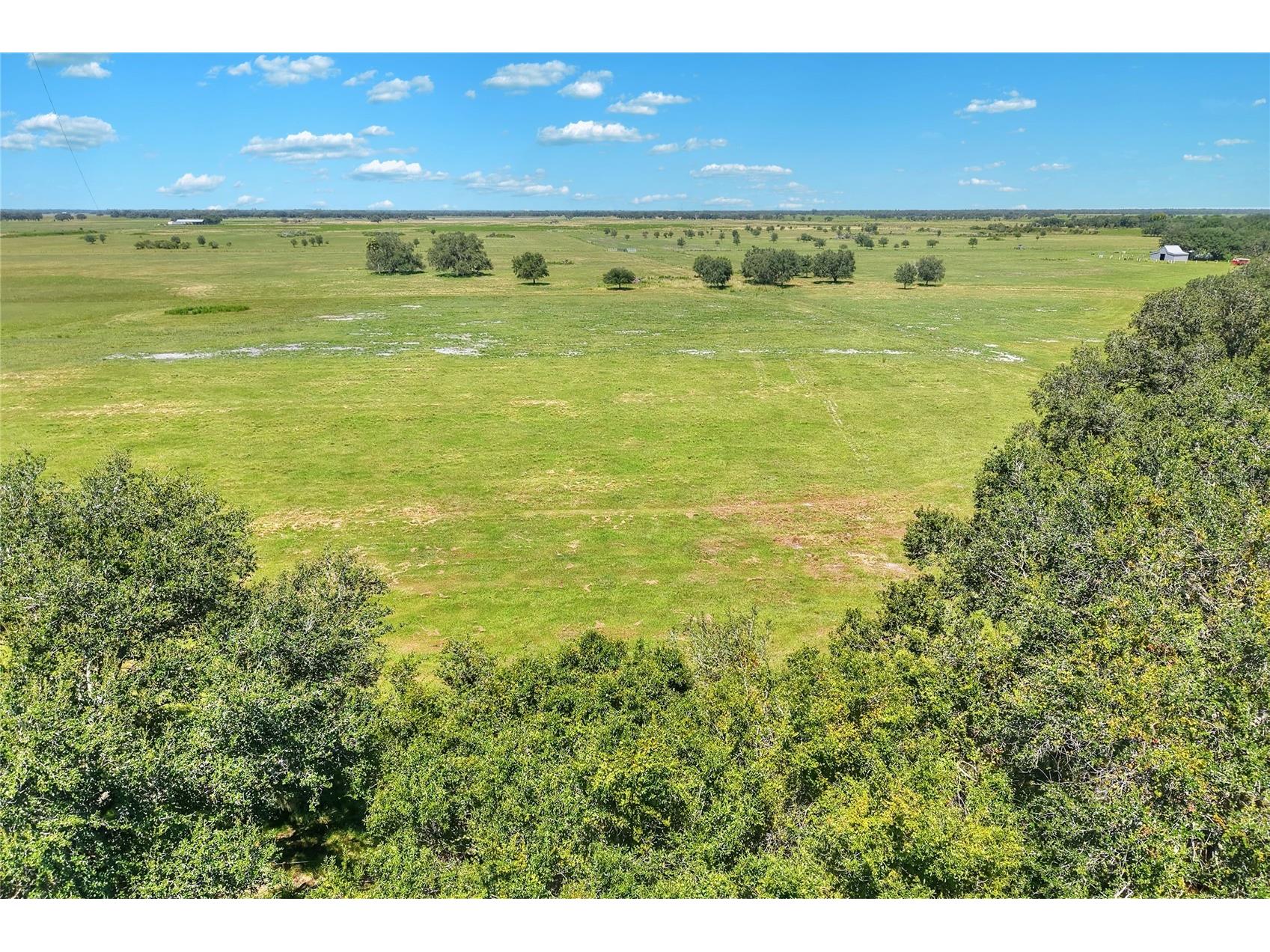 NW Limestone Heights Street Arcadia FL 34266 TB8425393 image55