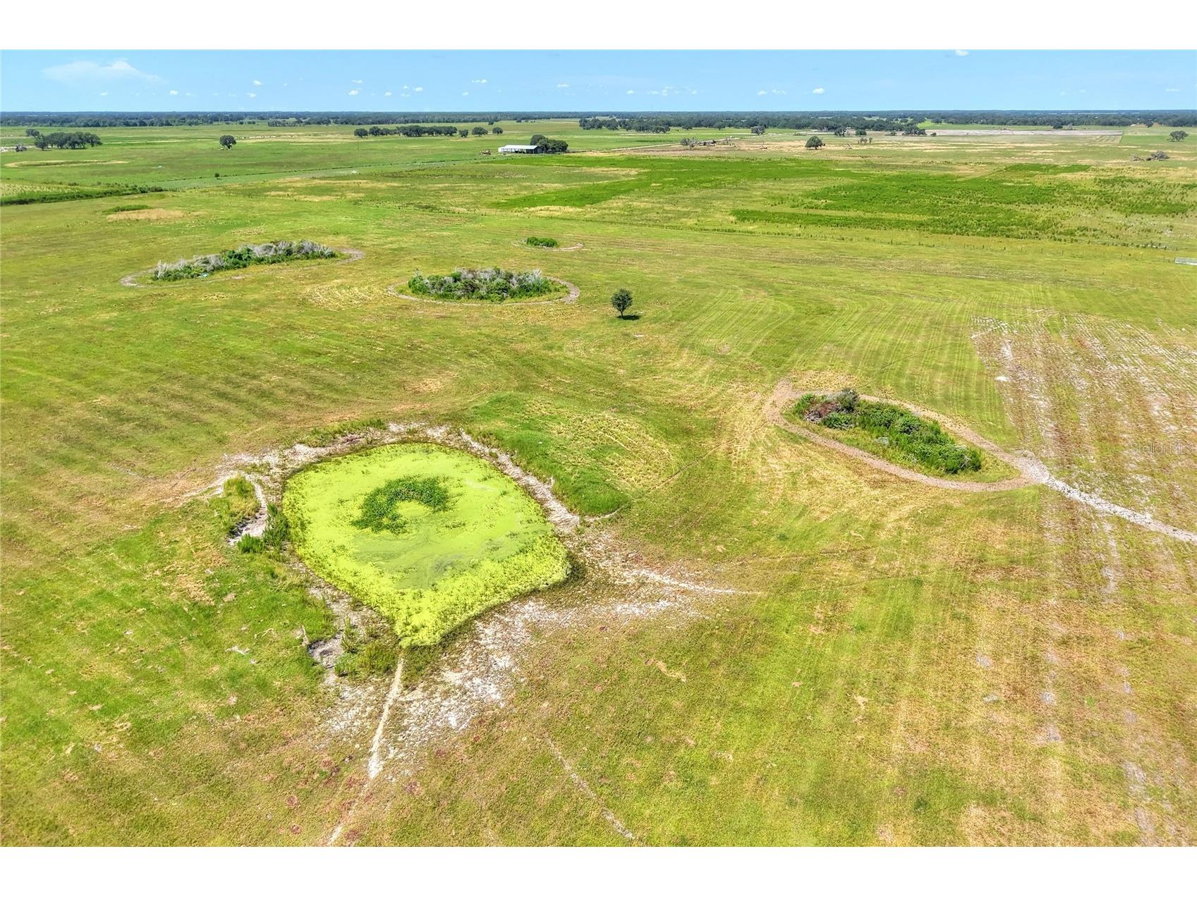 NW Limestone Heights Street Arcadia FL 34266 TB8425393 image58