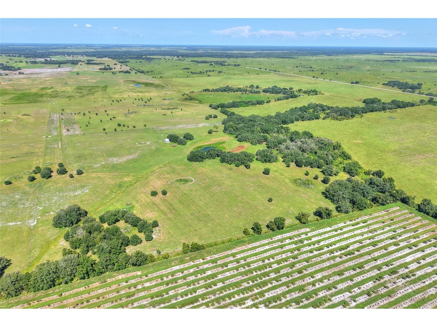 NW Limestone Heights Street Arcadia FL 34266 TB8425393 image60