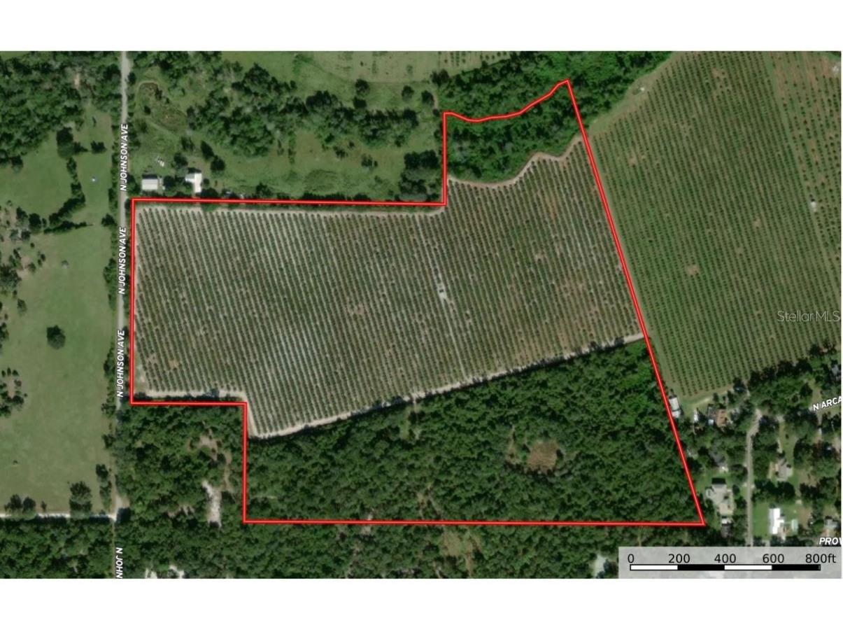 NW Livingston Street Arcadia FL 34266 B4901161 image1