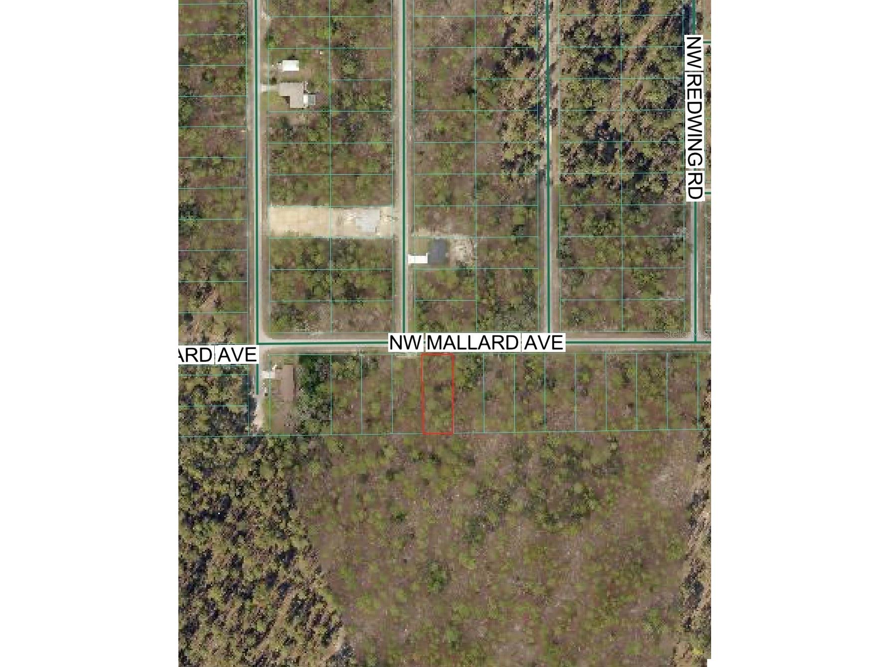 NW Mallard Avenue Dunnellon FL 34431 OM722695 image1