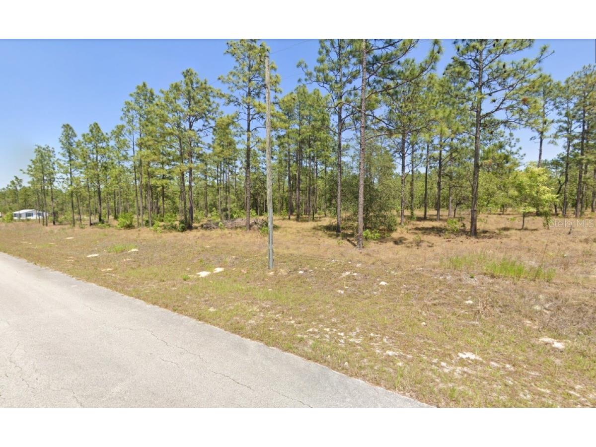 NW Mandrake Drive Dunnellon FL 34431 A4585912 image1