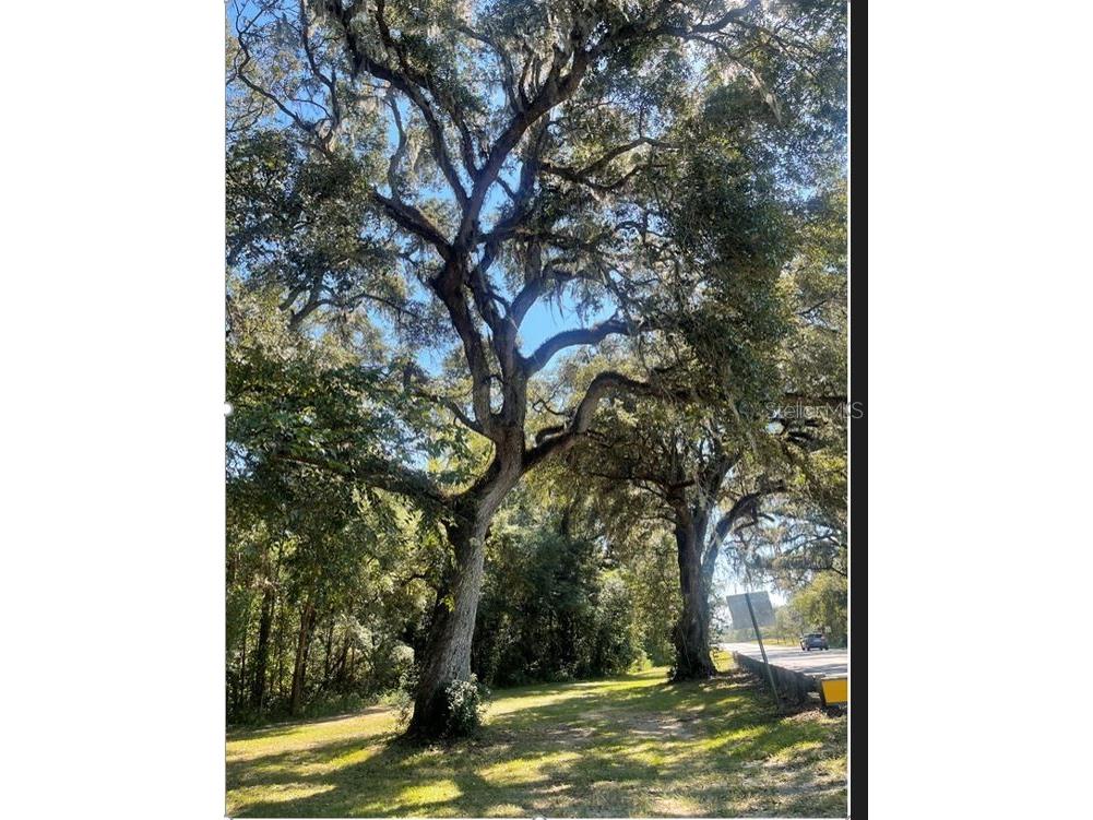 NW Millhopper Road Alachua FL 32615 GC508925 image1