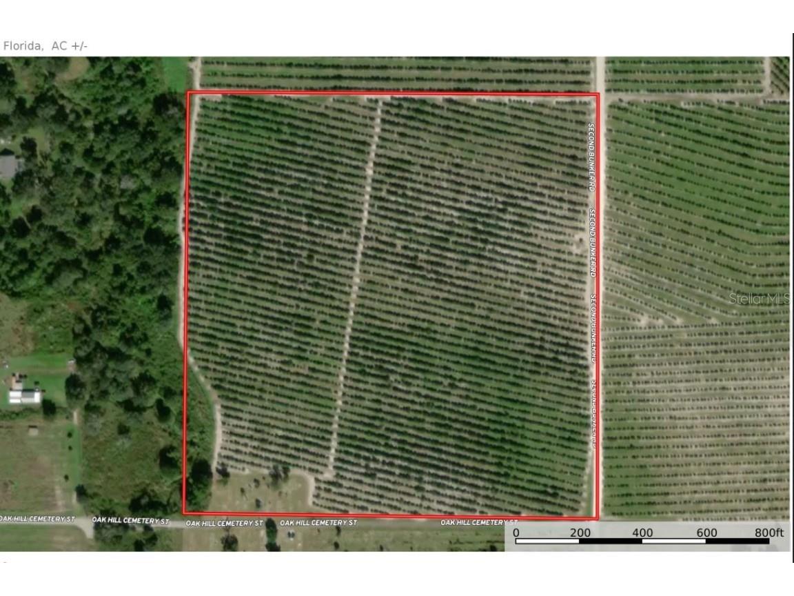 NW Oak Hill Cemetery Street Arcadia FL 34266 B4901162 image1