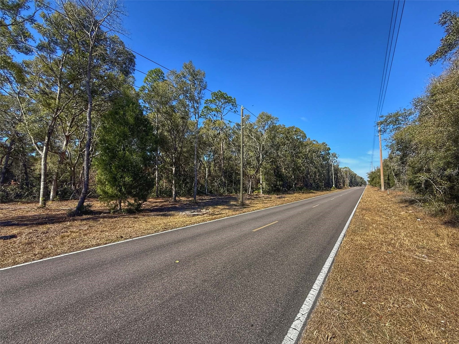 NW Old Fanning Road Trenton FL 32693 GC537226 image1
