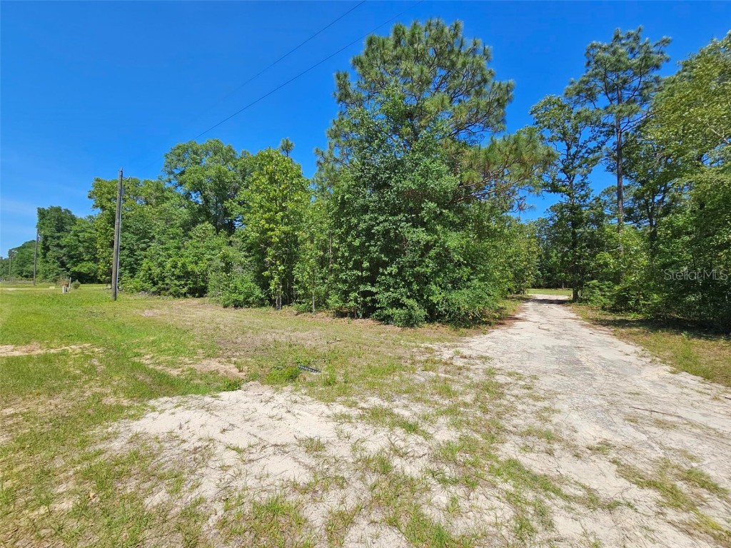 NW Pin Oak Lane Jennings FL 32053 GC513188 image1