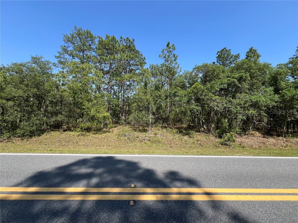 Nw Ridgewood Rd Dunnellon FL 34431 OM678214 image1