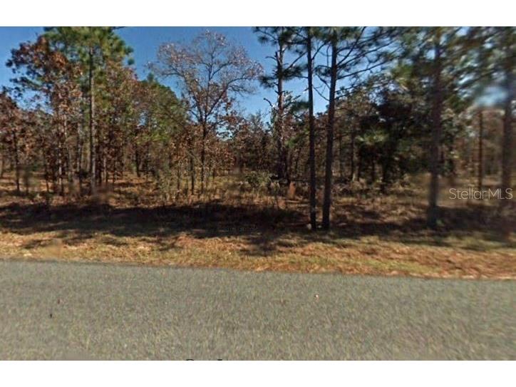 Nw Ridgewood Road Dunnellon FL 34431 S5049204 image1