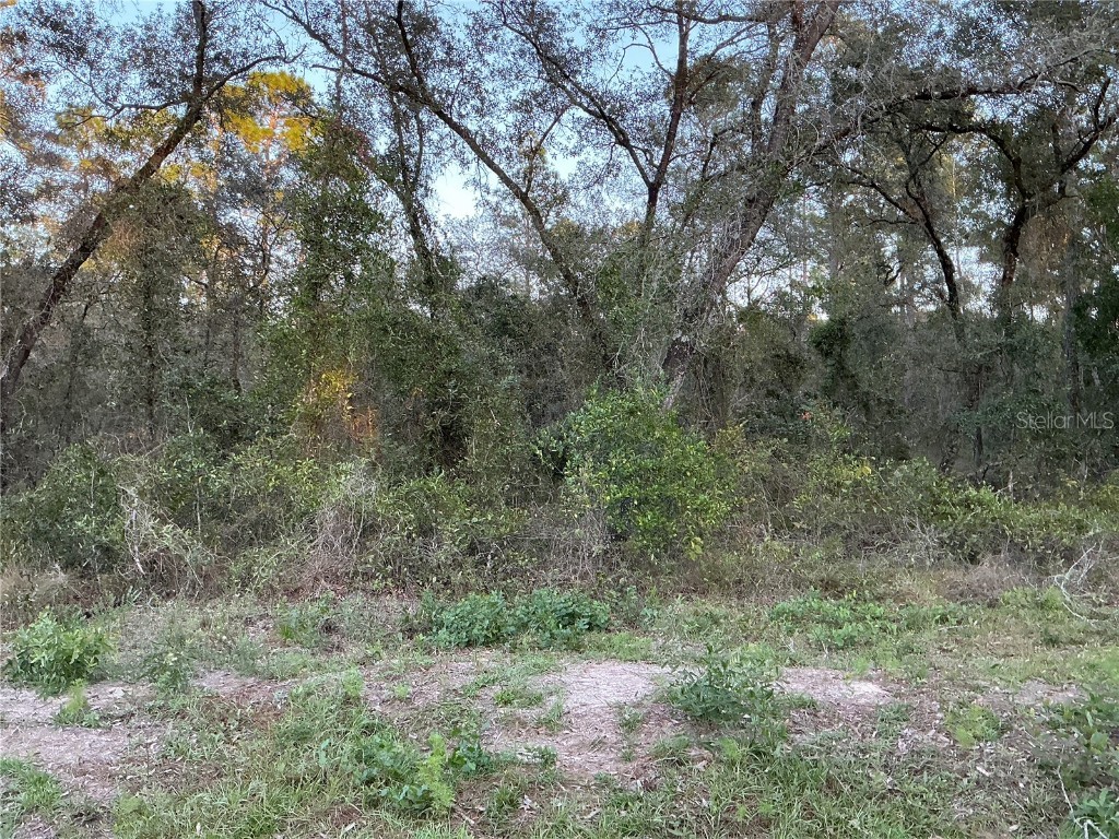 NW Ridgewood Road Dunnellon FL 34431 OM690358 image1