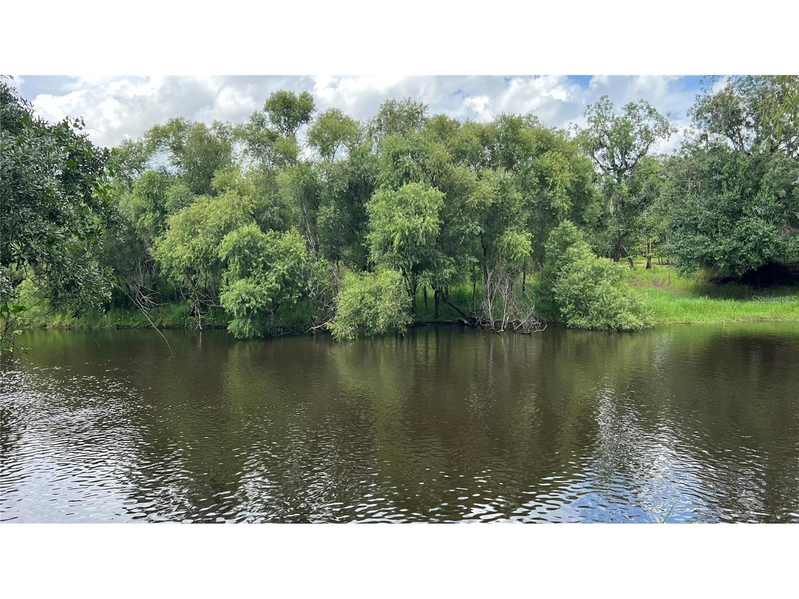 Nw Scout Avenue Arcadia FL 34266 - PEACE RIVER A4684094 image1