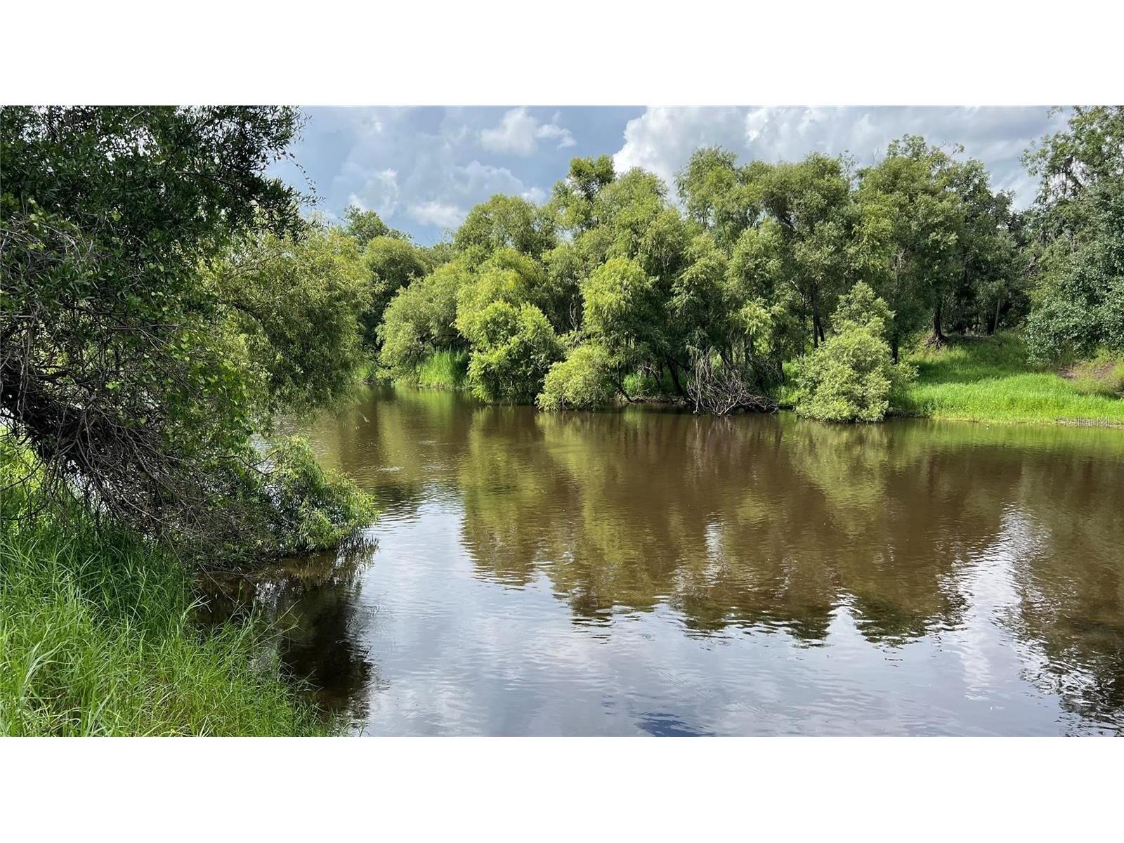 Nw Scout Avenue Arcadia FL 34266 - PEACE RIVER A4684094 image2