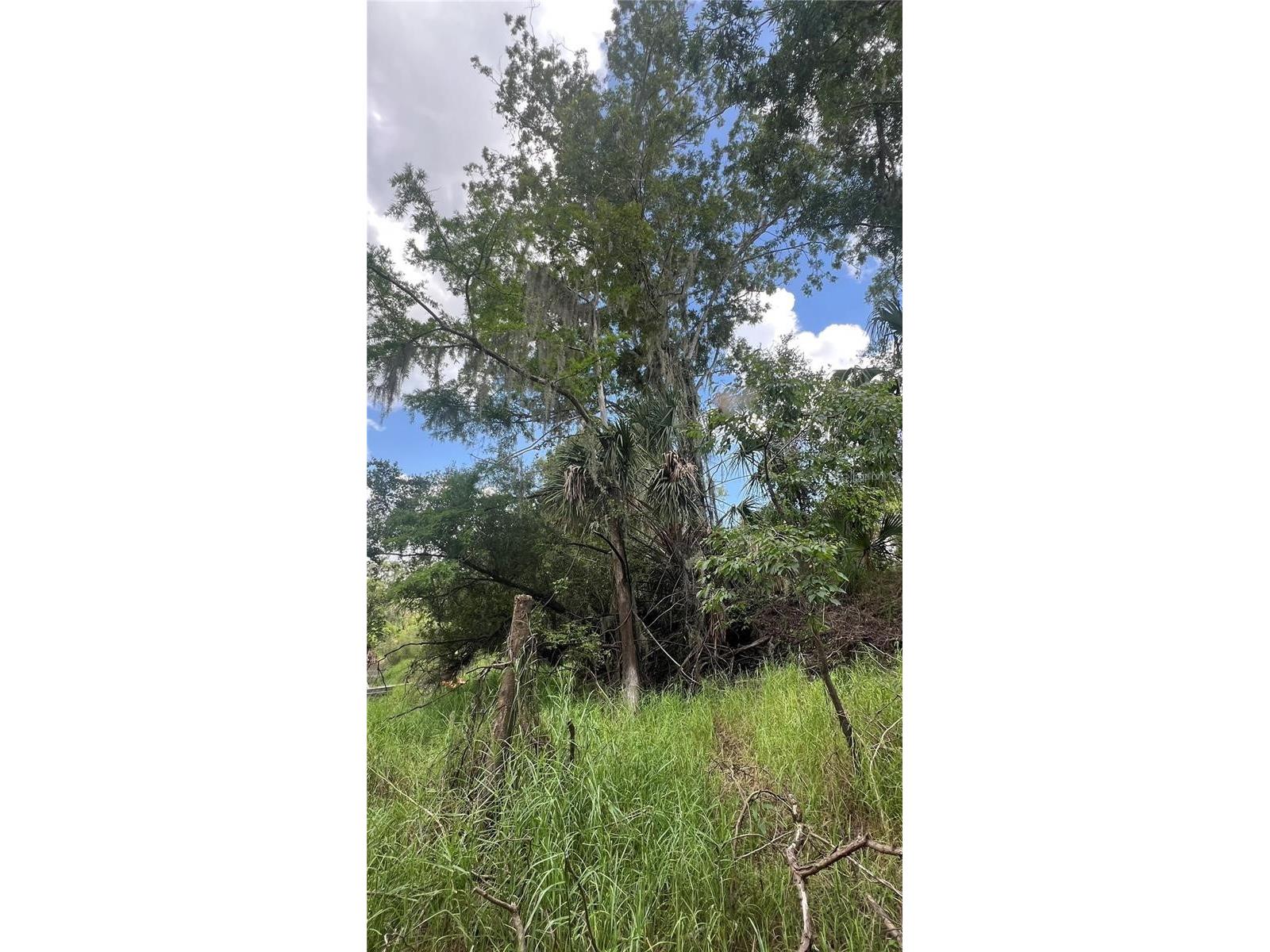 Nw Scout Avenue Arcadia FL 34266 - PEACE RIVER A4684094 image5