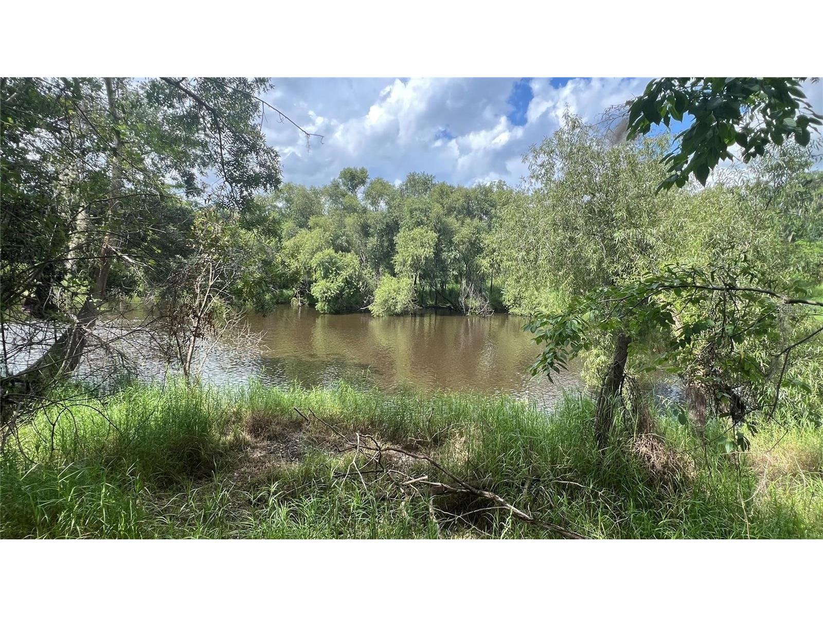 Nw Scout Avenue Arcadia FL 34266 - PEACE RIVER A4684094 image6