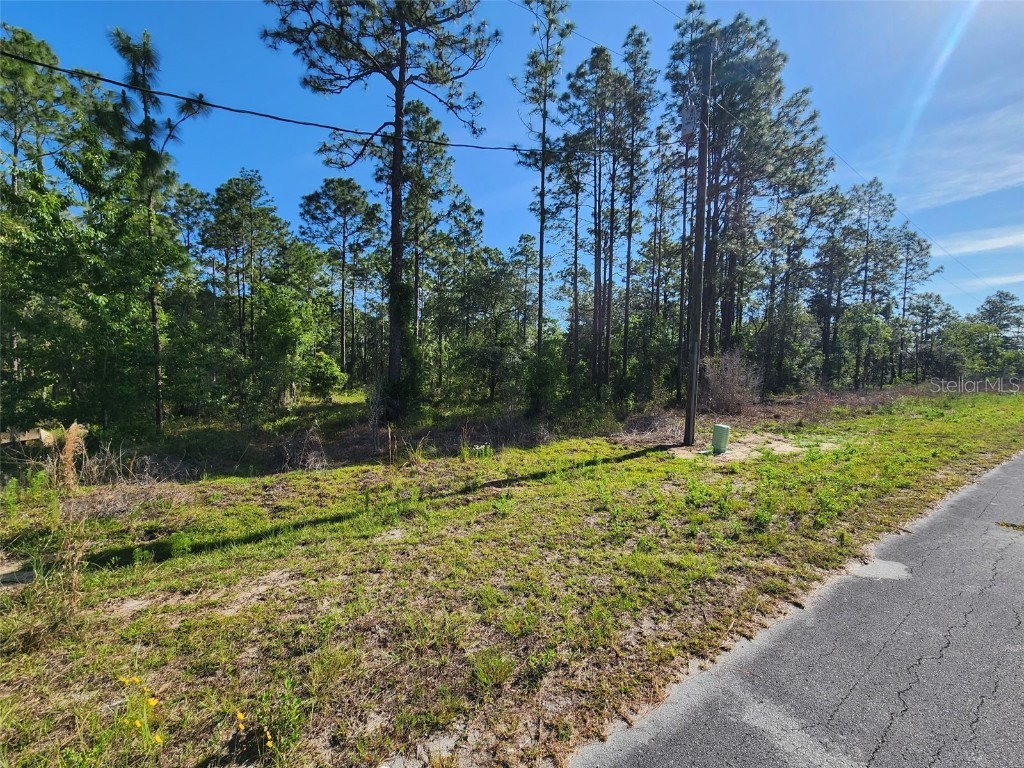 NW Shamrock Avenue Dunnellon FL 34431 OM702261 image1