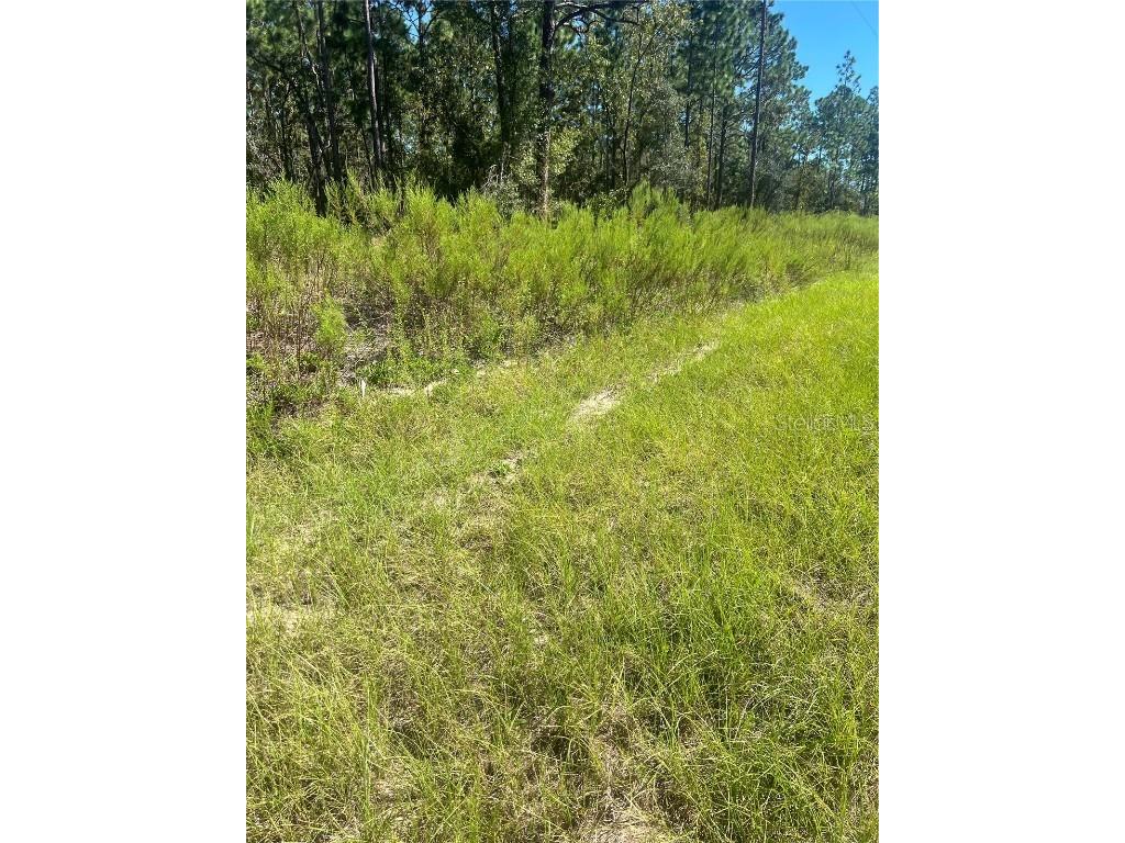 Nw Sparrow Rd Lot 39 Dunnellon FL 34431 GC525349 image1