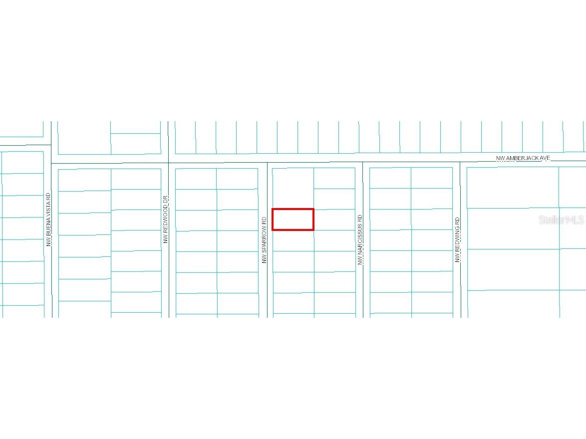 NW Sparrow Road Dunnellon FL 34431 C7497822 image2