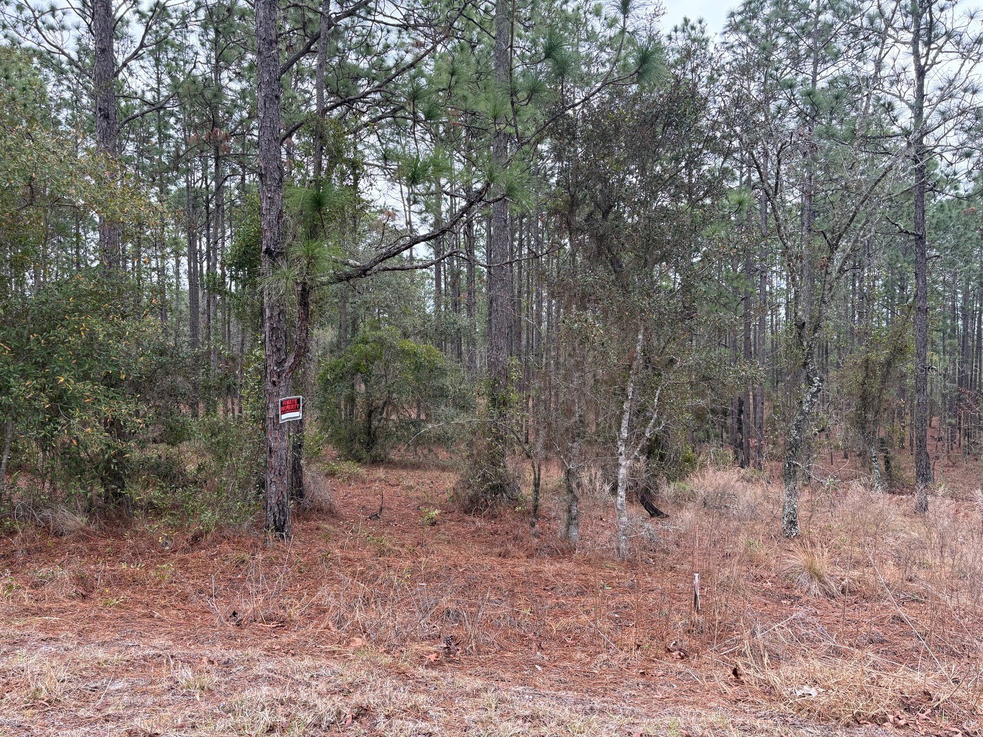 Nw Terrapin Drive Dunnellon FL 34431 W7883125 image1