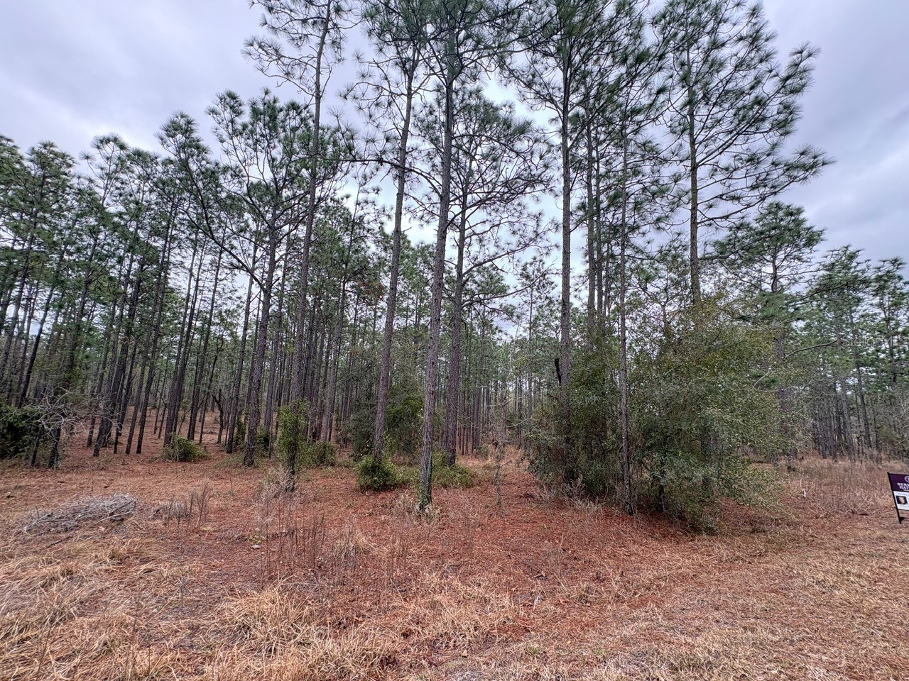 Nw Terrapin Drive Dunnellon FL 34431 W7883125 image2