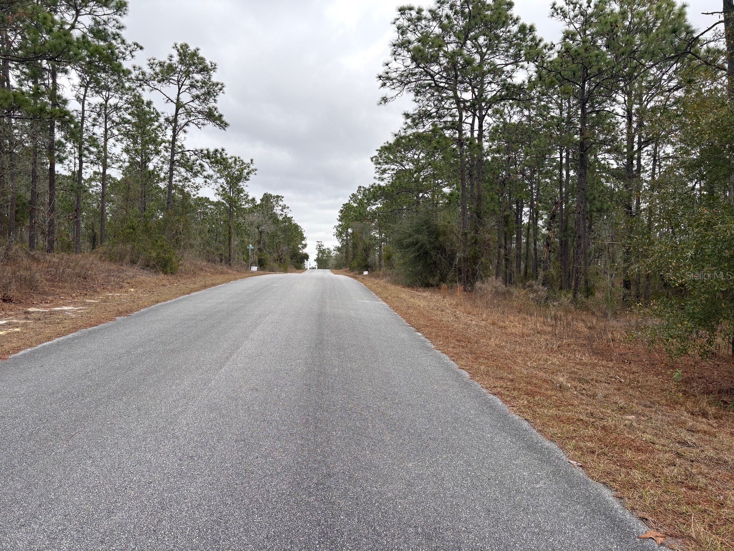 Nw Terrapin Drive Dunnellon FL 34431 W7883125 image3