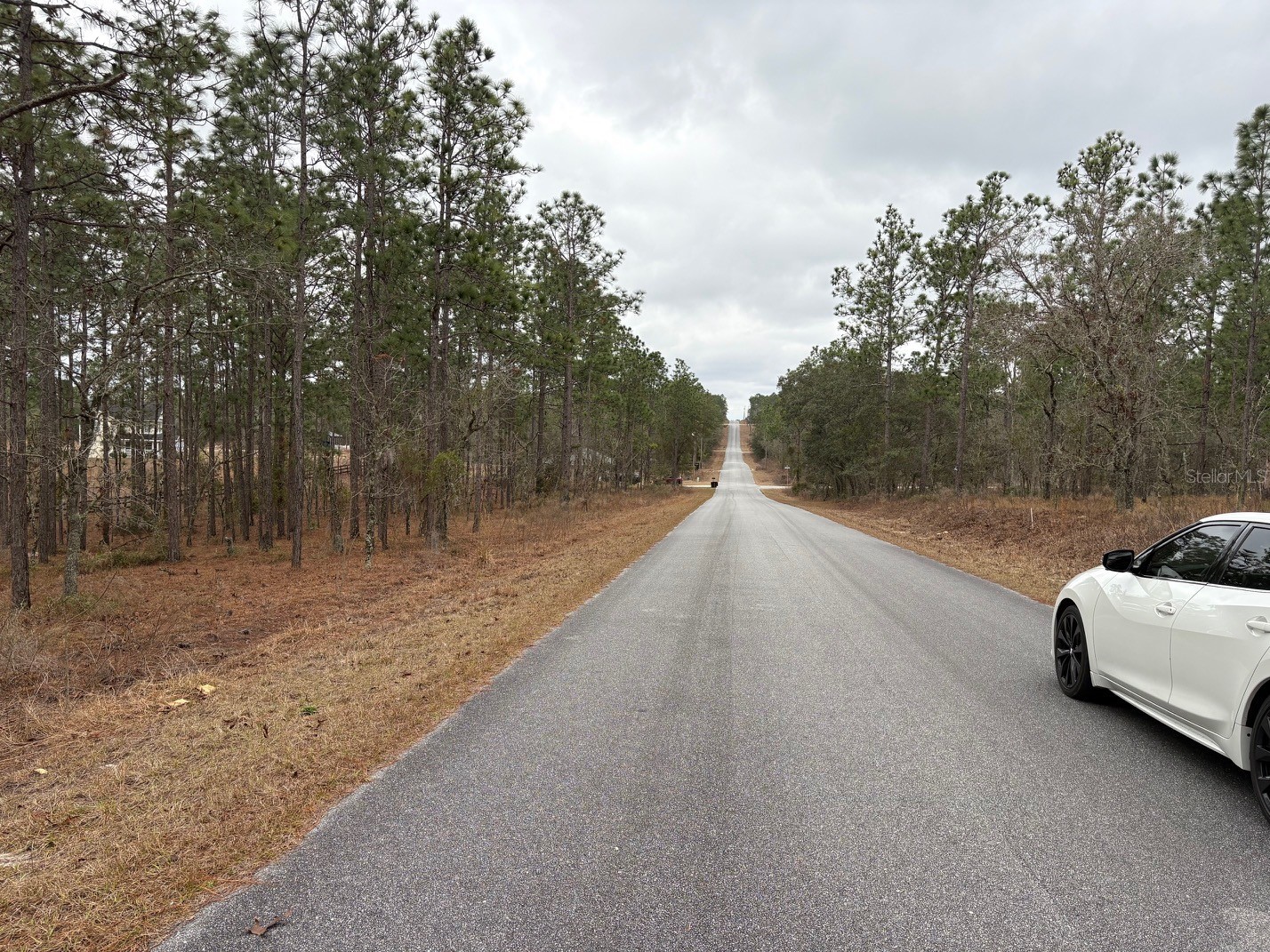 Nw Terrapin Drive Dunnellon FL 34431 W7883125 image4