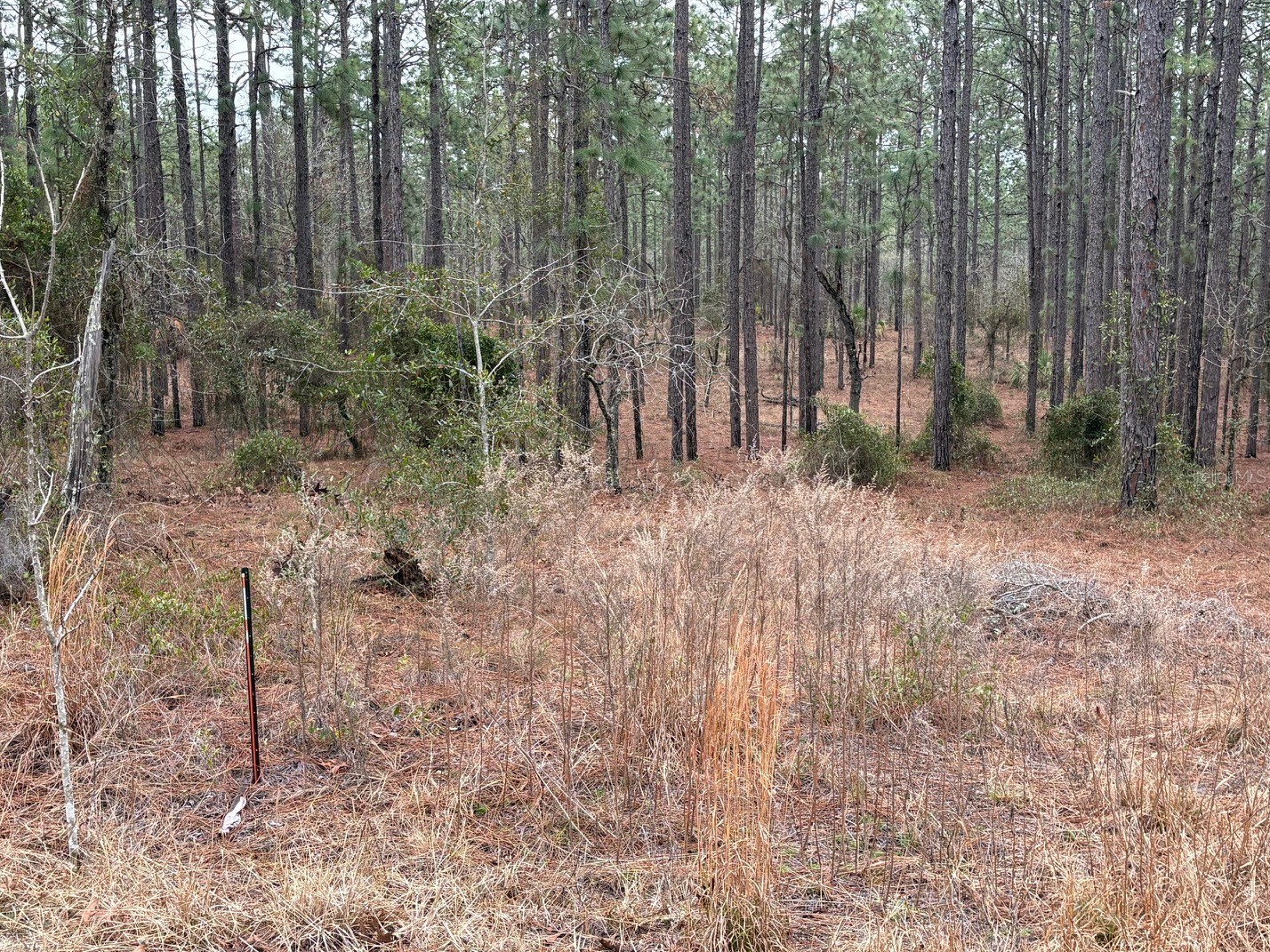 Nw Terrapin Drive Dunnellon FL 34431 W7883125 image6