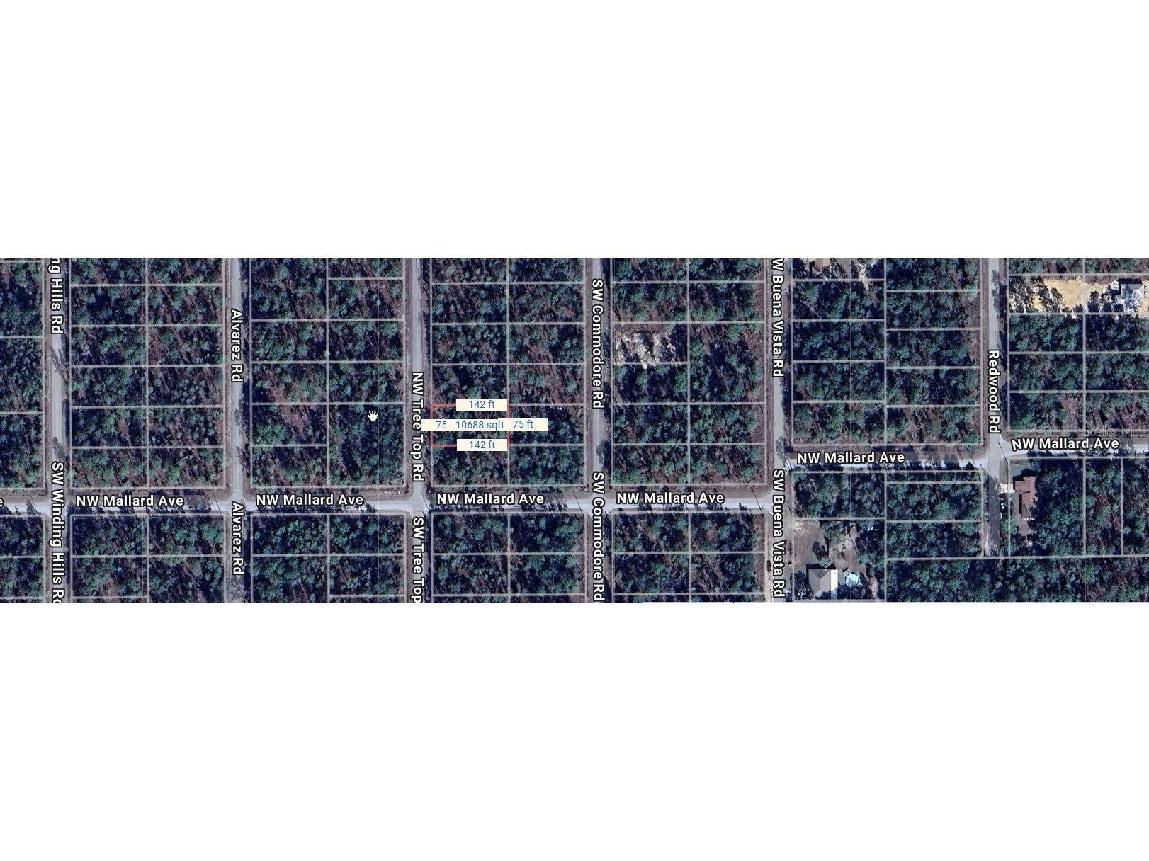 Nw Tree Top Dunnellon FL 34431 O6301291 image1