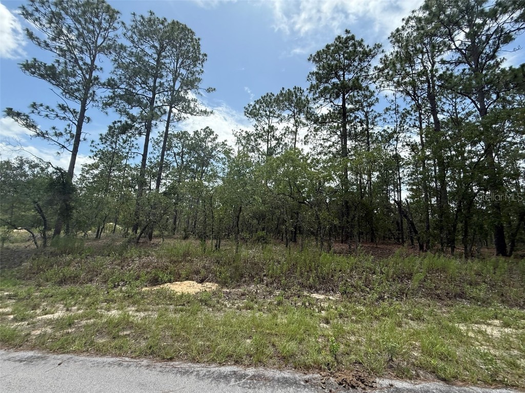 NW Tree Top Road Dunnellon FL 34431 OK225311 image4