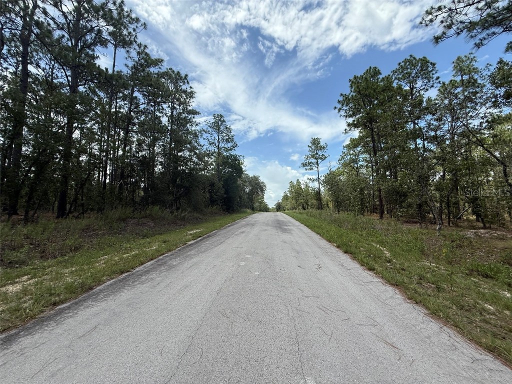 NW Tree Top Road Dunnellon FL 34431 OK225311 image5