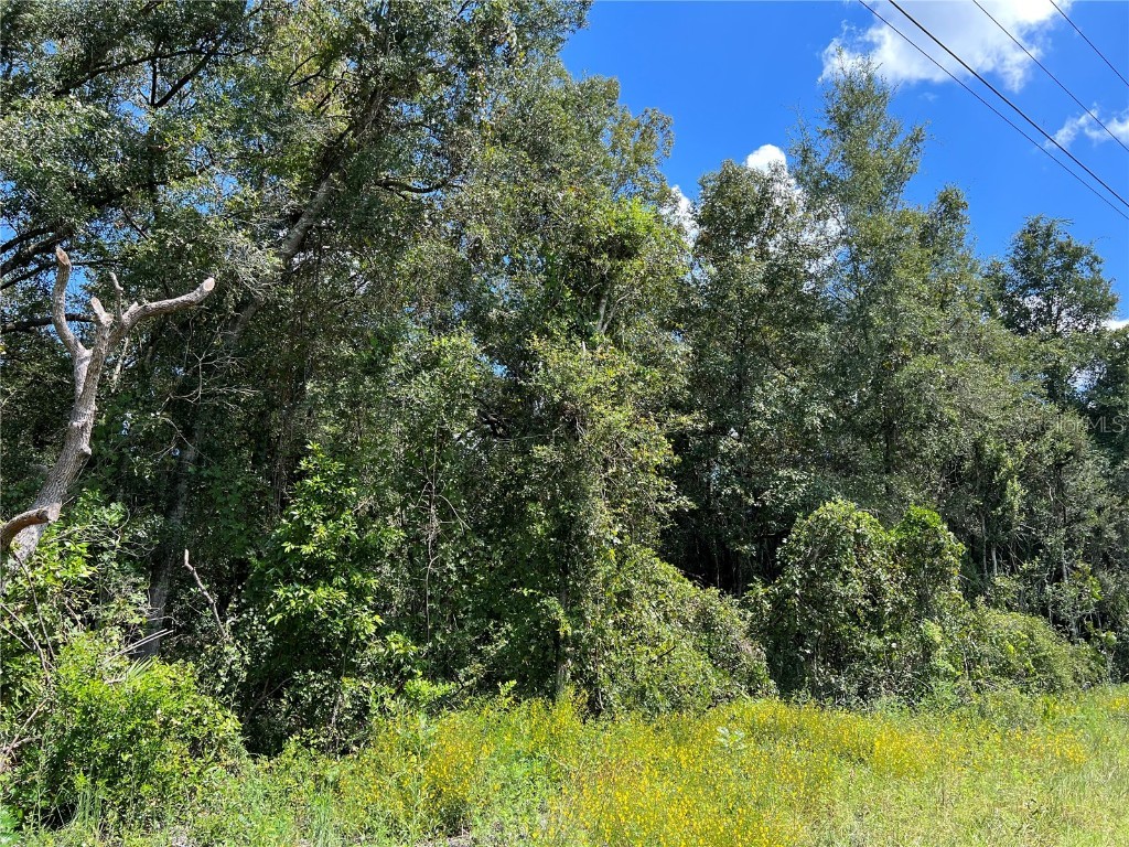 NW Us 19 Highway Chiefland FL 32626 W7857678 image3