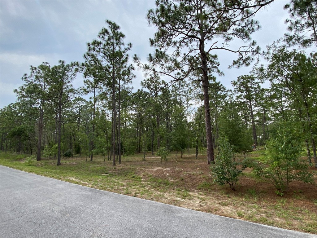 Nw Water Oak Ave. Dunnellon FL 34431 A4571555 image1