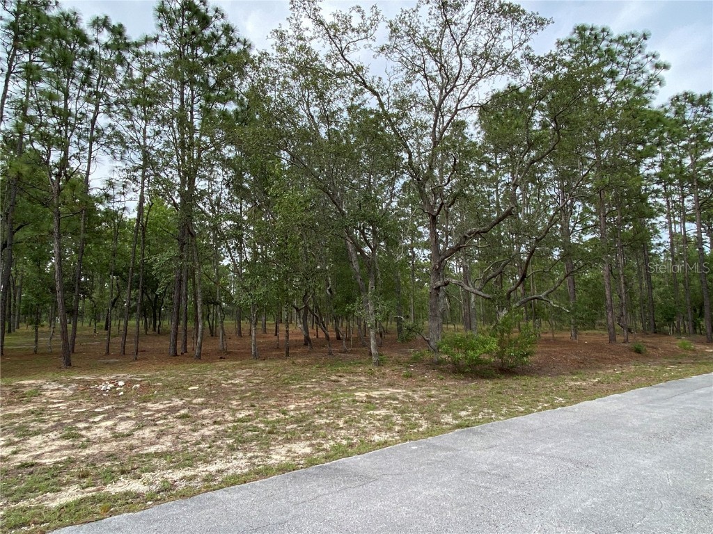 Nw Water Oak Ave. Dunnellon FL 34431 A4571558 image1