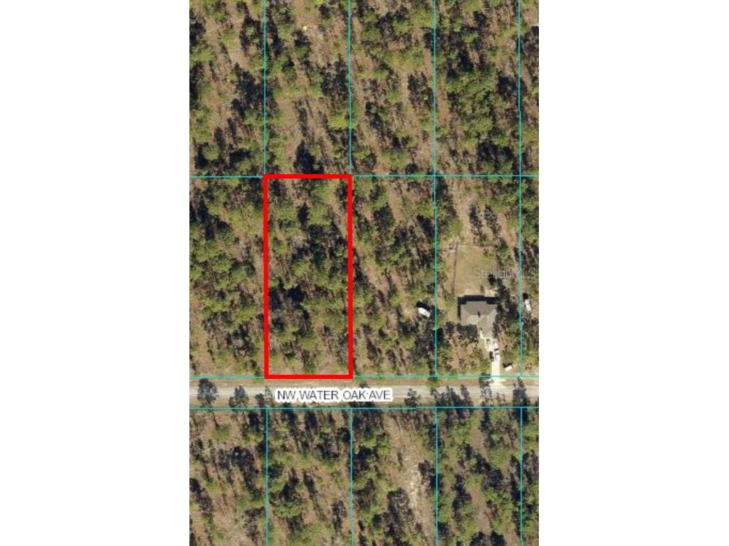 NW Water Oak Avenue Dunnellon FL 34431 OM656336 image1