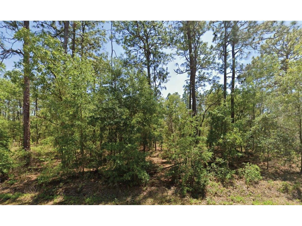 NW Water Oak Avenue Dunnellon FL 34431 O6365469 image1