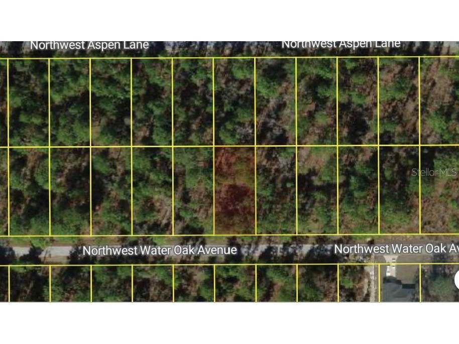 NW Water Oak Avenue Dunnellon FL 34431 O6365469 image2