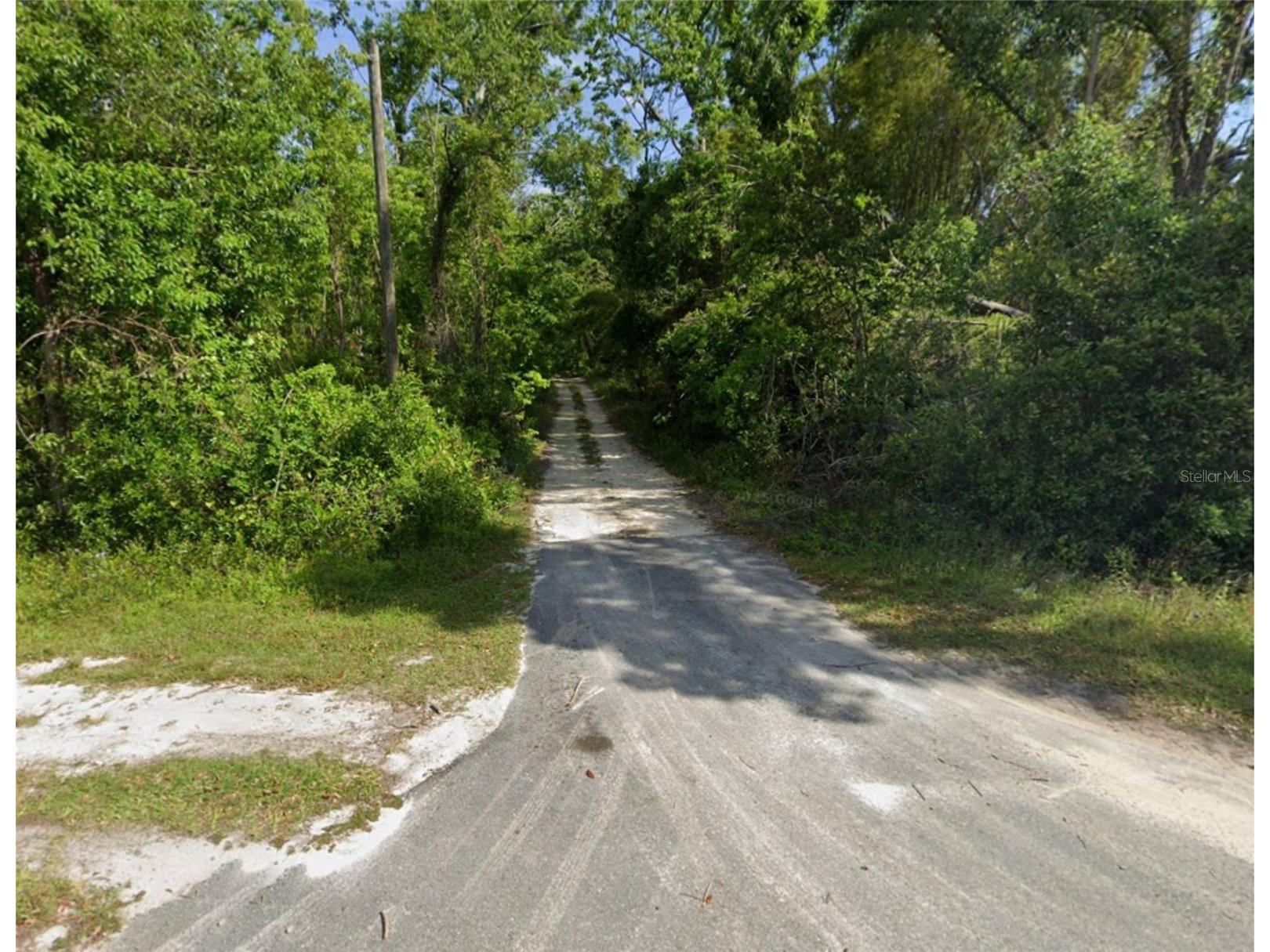 Nw Wayne St Mayo FL 32066 O6391115 image1
