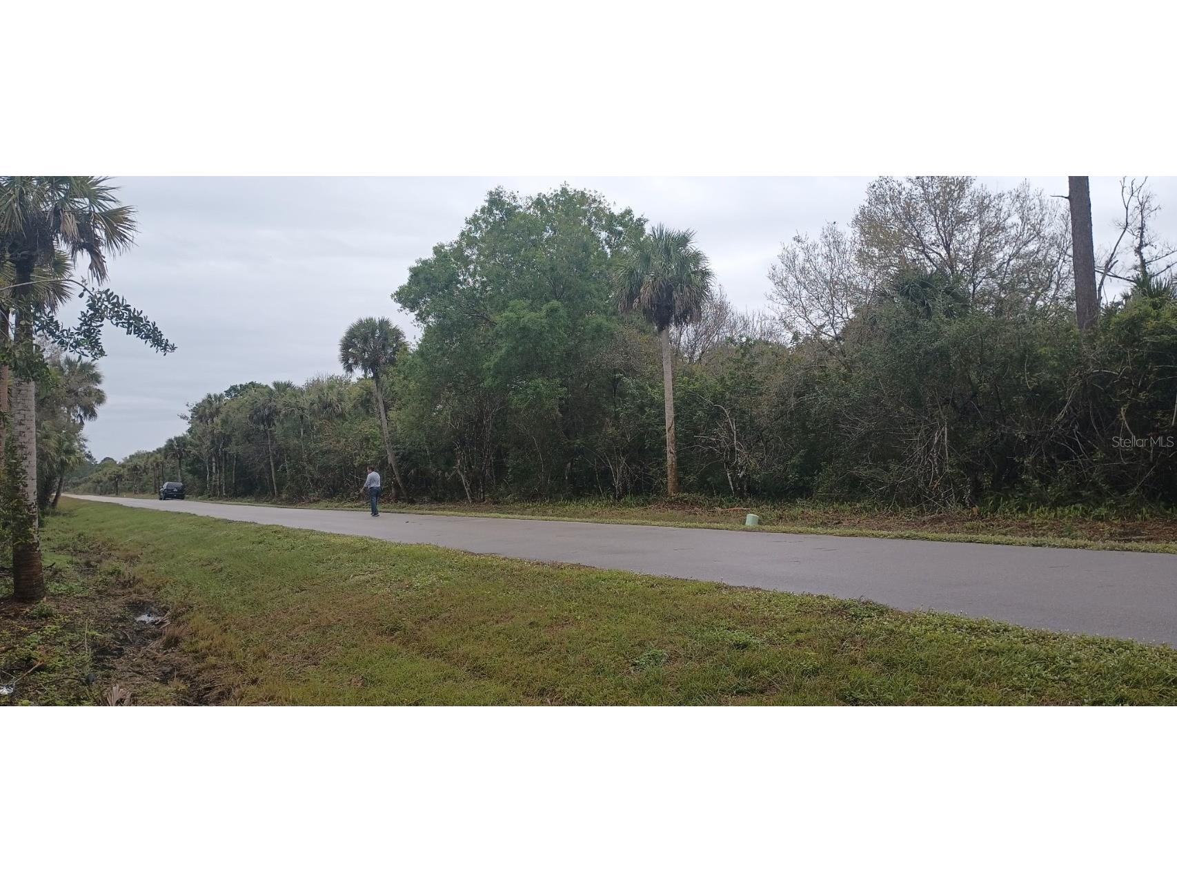  Naples FL 34117 TB8450070 image2