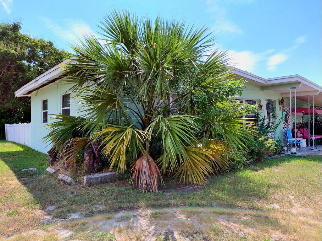  New Port Richey FL 34652 W7879150 image15