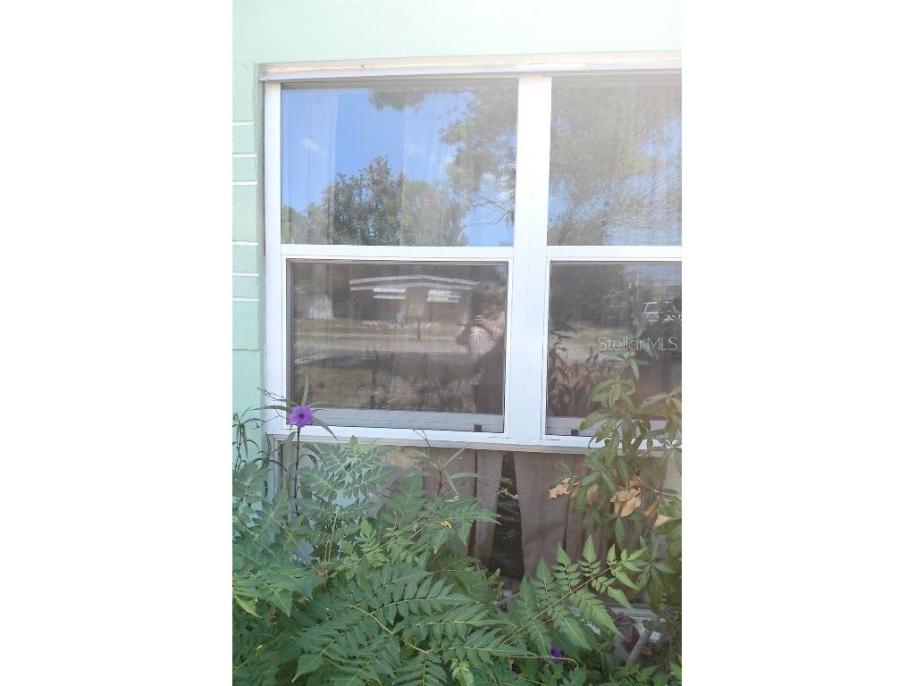  New Port Richey FL 34652 W7879150 image21