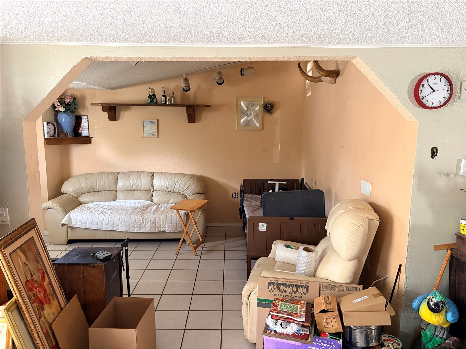  New Port Richey FL 34652 W7884359 image10